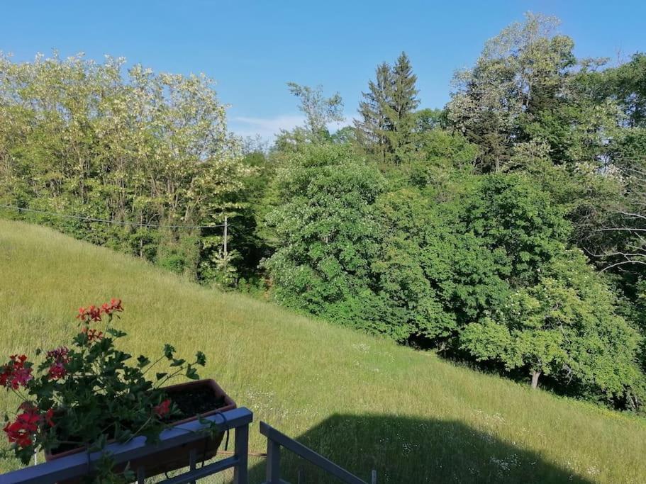 Vila La Soffitta Di Anita Bedonia Exteriér fotografie